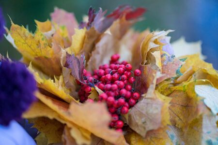 autumn bouquet of leaves and red rowanの写真素材