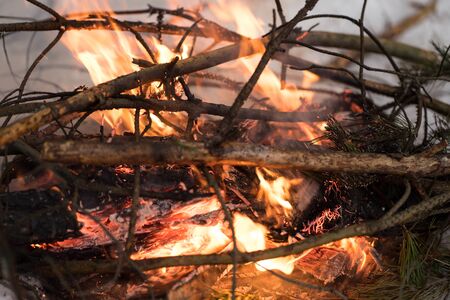winter and bright bonfire from twigs burnsの写真素材