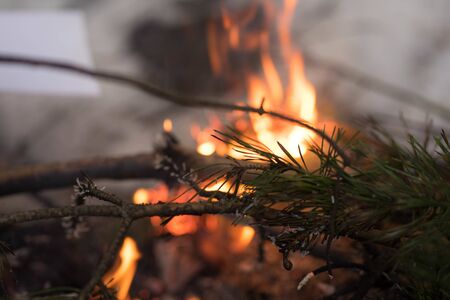 winter bonfire made of fir branches burns bright orange