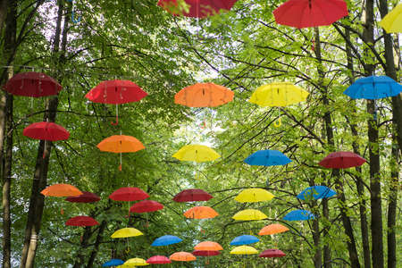 colorful umbrellas hang on the treesの写真素材