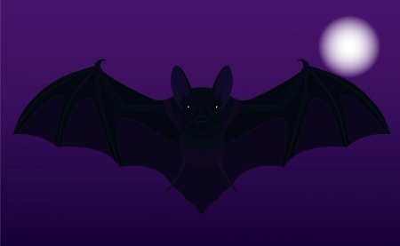 illustration of the batのイラスト素材