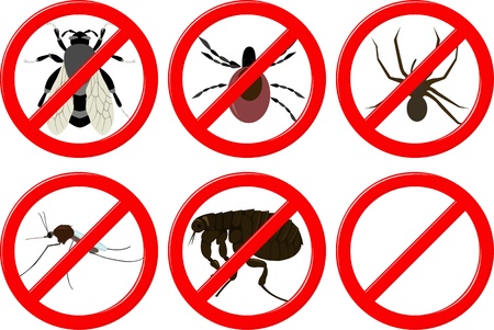 no insectsのイラスト素材