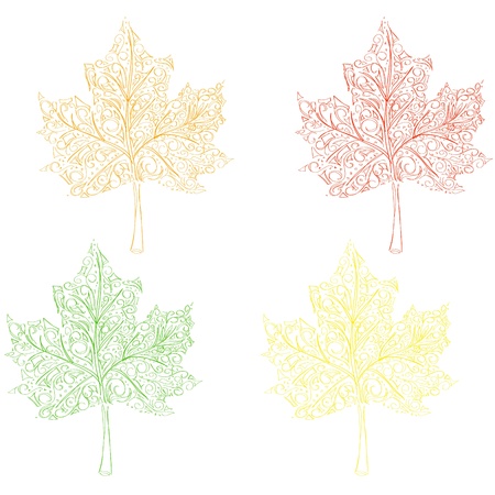 maple leavesのイラスト素材