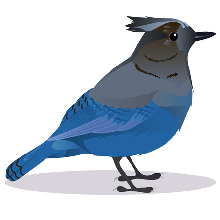 Stalker joke bird cartoon vector illustrationのイラスト素材