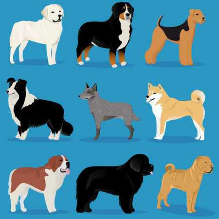 Set of dogs vector illustrationのイラスト素材