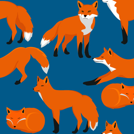 Fox cartoon seamless pattern vector illustrationの写真素材