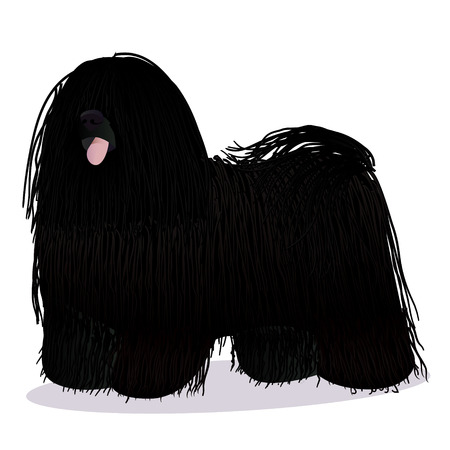 Puli dog cartoon blackのイラスト素材