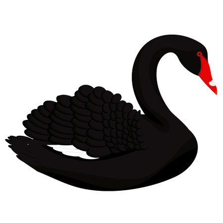 Black swan icon and symbol isolated vector illustrationのイラスト素材