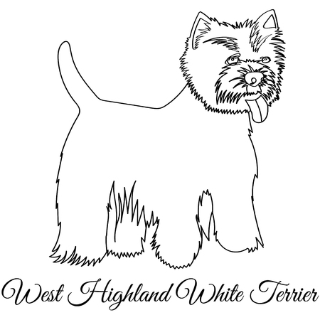 West highland white terrier dog coloringのイラスト素材