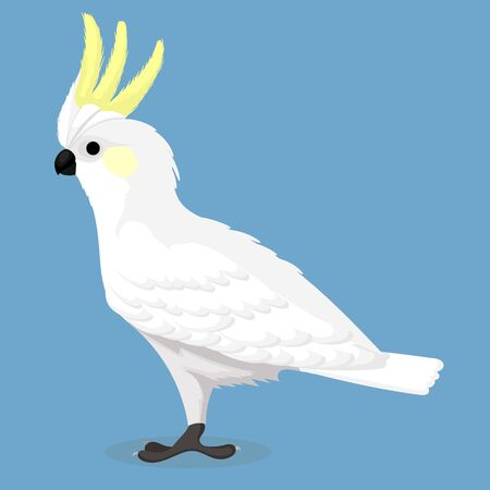 Yellow crested cockatooのイラスト素材