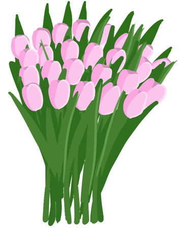 Tulips pink hand drawn. Spring bouquetのイラスト素材