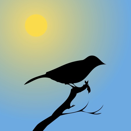 Bird at sunsetのイラスト素材