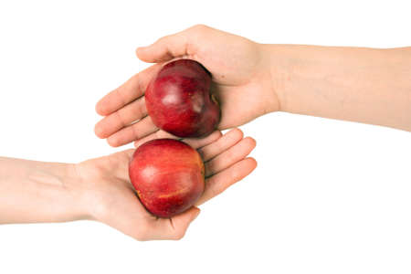 Two hands with parts of appleの写真素材