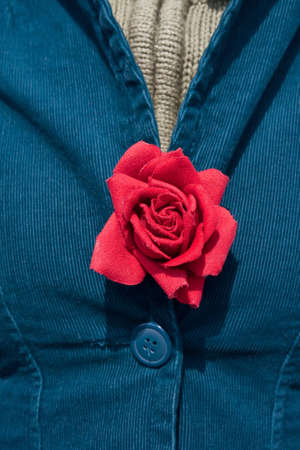 Chest of woman in blue jacket and red artificial rose attached in center.の写真素材