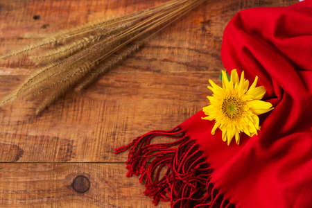 Winter, warm atmosphere. Frame with red scarf, sunflower and wheat spikelets on wooden background. Winter evening. Flat lay, layout, place for text, post card, high resolutionの写真素材