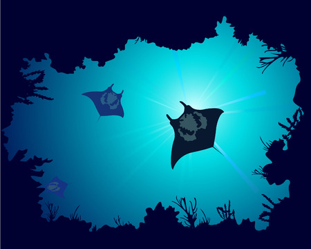 Background of a coral reef with manta rayのイラスト素材