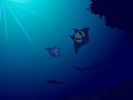 Underwater world with coral reef, sharks and manta rayのイラスト素材