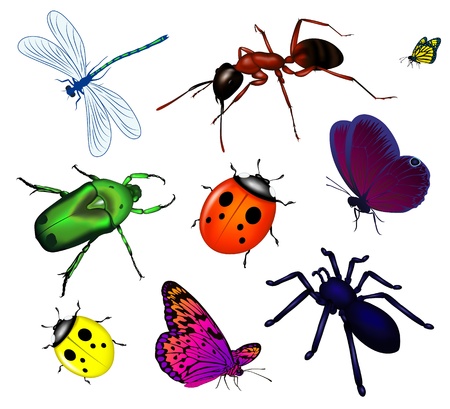 Set of various insectsのイラスト素材