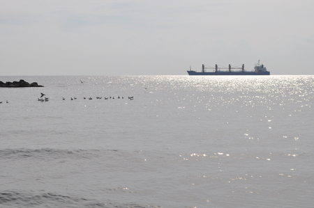 Limassol Beachの写真素材