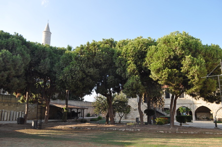 TheÂ Medieval CastleÂ ofÂ Larnaca (Larnaka)Â in Cyprusのeditorial素材