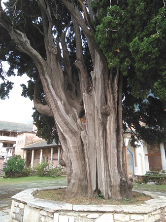 The beautiful Garden at Monasteryのeditorial素材