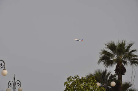The passenger plane flying a commercial airliner
