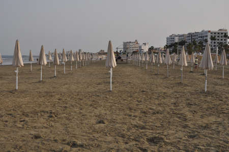 The beautiful Finikoudes Beach Larnaca in Cyprusの写真素材