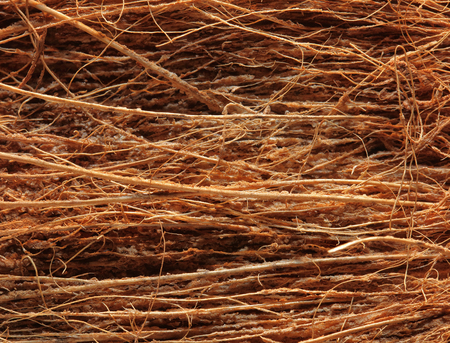 Close-up of Coconut fibre  Background Textureの写真素材