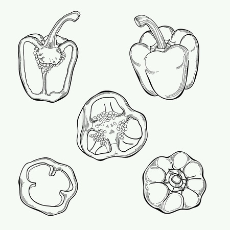 Vector set of  paprika のイラスト素材