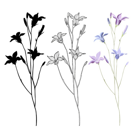 Bellflowers  Three options  Vector illustration  Can be used as a design element のイラスト素材