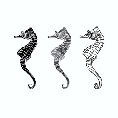 Vector illustration black and white seahorses, three different variantsのイラスト素材