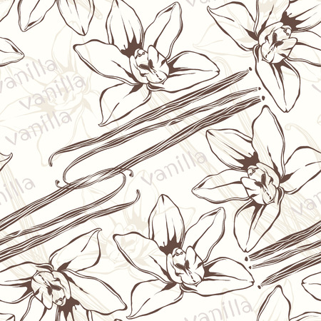 Vanilla pods and flowers. Hand-drawn seamless pattern.のイラスト素材