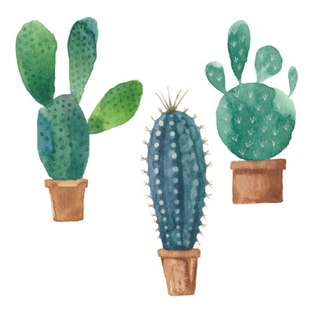 Cactus isolated on white background. Vector, watercolor hand drawn set illustration.のイラスト素材