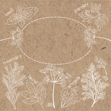 Spices and herbs. Vector illustration with place for text.のイラスト素材