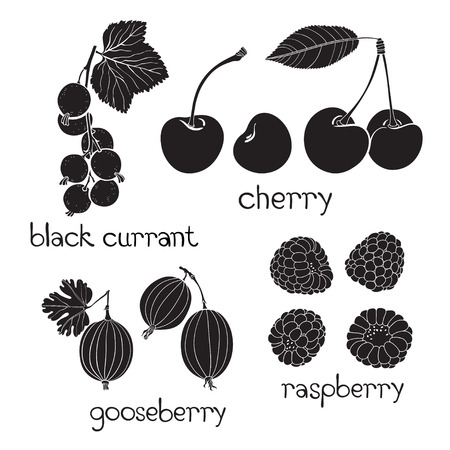 Set of berry silhouettes on a white background. Raspberry gooseberry cherry currant.のイラスト素材