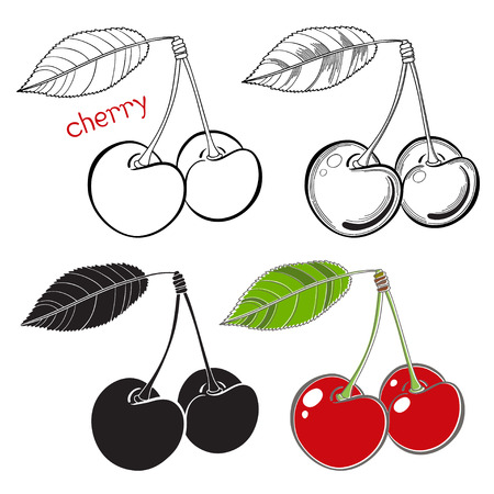 Set of cherry isolated on white background. Hand drawn vector illustration sketch. Elements for design.のイラスト素材