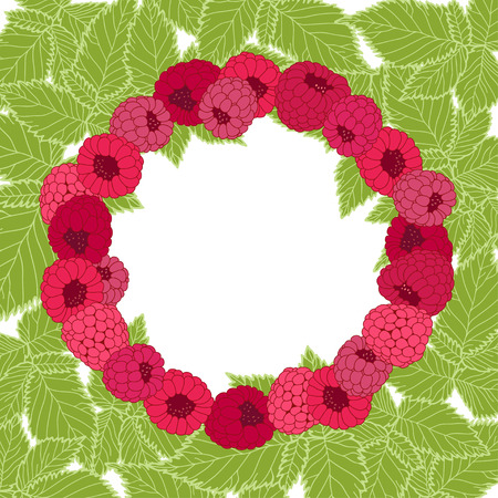Vector frame with raspberry. Illustration with place for text can be used creating card menu or invitation card.のイラスト素材