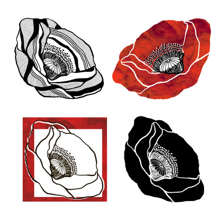 Poppies. Set with watercolor elements. Floral elements for invitations greeting cards design. Hand drawn vector illustration sketch.のイラスト素材