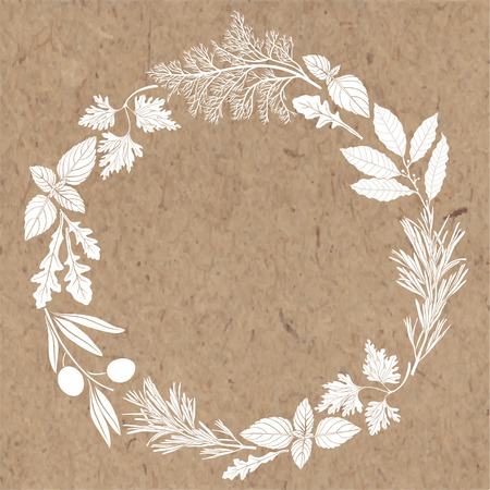 frame with spices and herbs.のイラスト素材