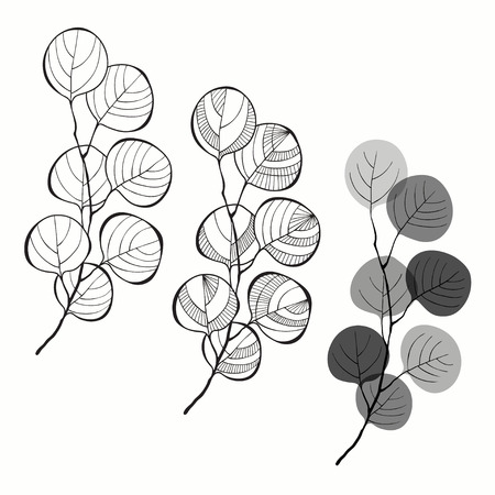 Set of abstract branches isolated on white background.のイラスト素材