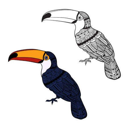 Toucan. Set of birds isolated on white background. Hand drawn illustration, sketch. Elements for design.のイラスト素材
