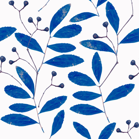 Seamless pattern with abstract blue branches of the herbarium on a white background. Vector illustration.のイラスト素材