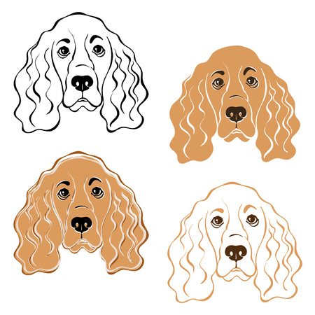 Cocker Spaniel dog's face. Hand-drawn vector illustration, isolated element for design. Sketch, four variants.のイラスト素材
