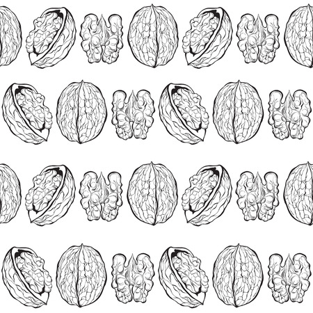 Walnuts. Seamless pattern. Outline hand drawn illustration.のイラスト素材