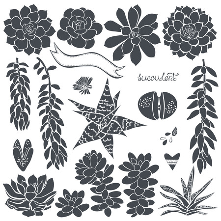 Succulents set of different silhouettes succulents. Elements for design.のイラスト素材