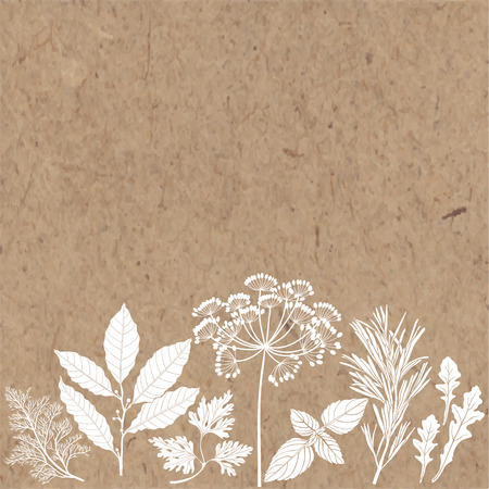 Vector background with spices and herbs on a kraft paper. Illustration with place for text, can be used creating card, menu or invitation card.のイラスト素材