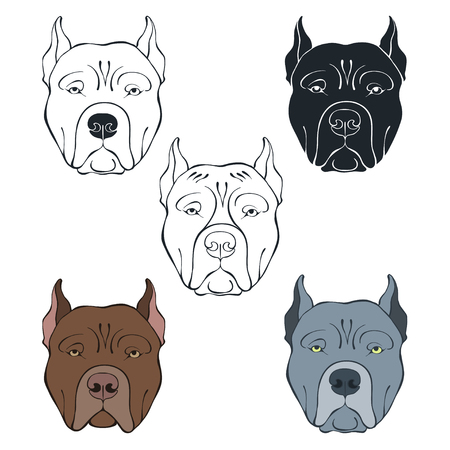 Pit Bull Terrier. Vector set of dog's face. Hand-drawn vector illustration on a white background. Sketch, five isolated variants.のイラスト素材