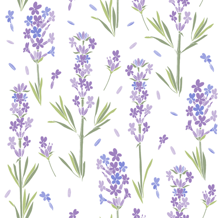 Seamless vector pattern with lavender flowers. Floral illustration on white background.のイラスト素材