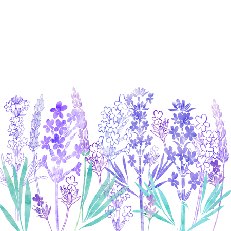 Floral vector background with lavender flowers and place for text. Watercolor illustration on a white background. Invitation, greeting card or an element for your design.のイラスト素材