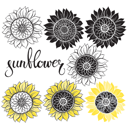 Sunflower. Vector illustration of seven different isolated elements for design.のイラスト素材